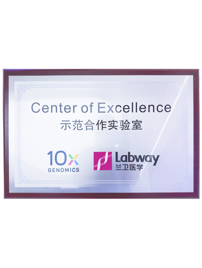 03 10Xģʵ.png